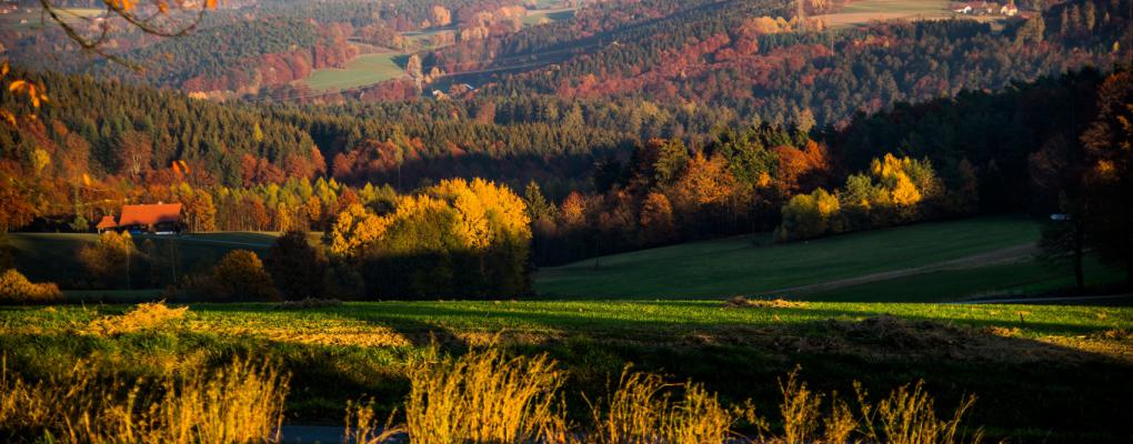 Herbstwald klein